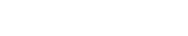 Inspur Logo